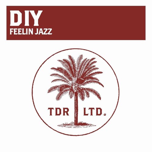 Diy - Feelin Jazz [TDRLTD002]